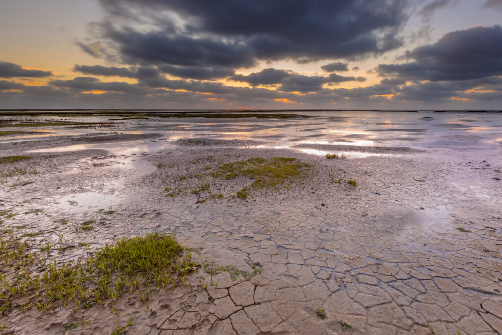 Mud motor Port of Harlingen 1