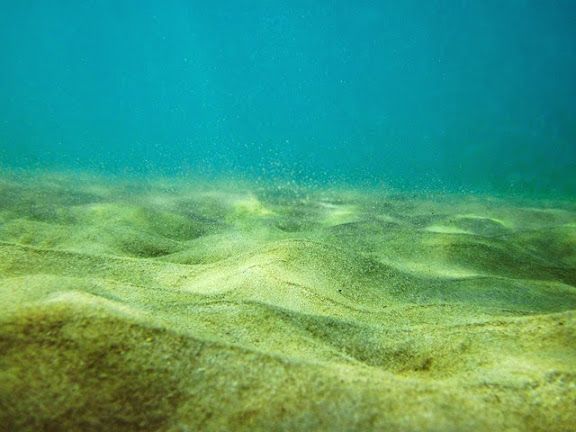 Sea bed landscaping