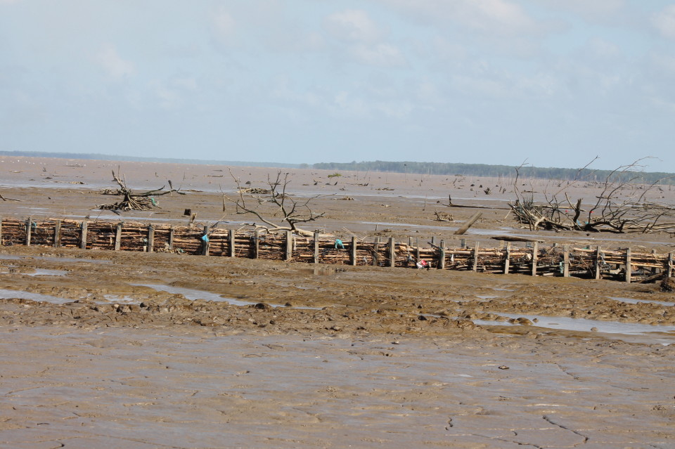 Succesful introduction of Building with Nature in Suriname