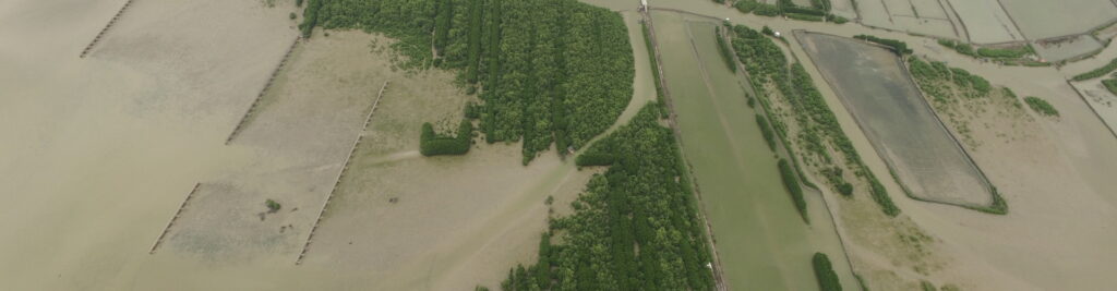 Building with Nature prominent as sustainable coastal management approach during Dutch trade mission to Indonesia