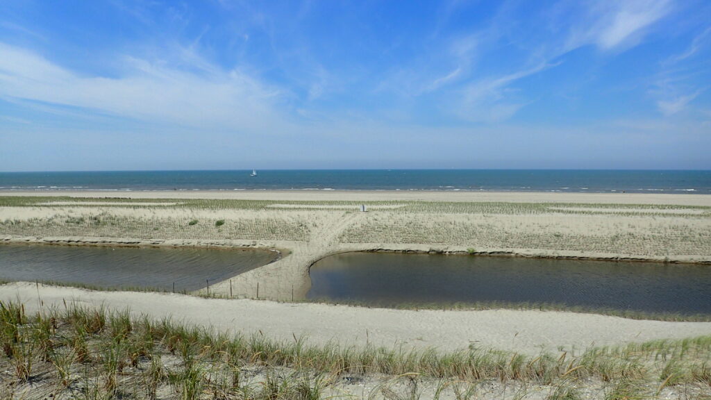 Dune development Hondsbossche Dunes