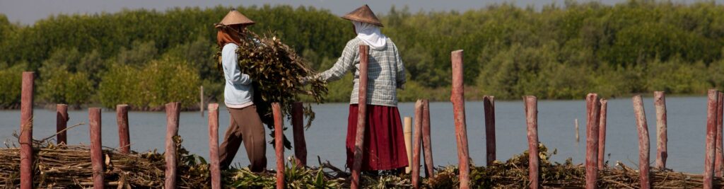 Germany helps to scale up Building with Nature Indonesia