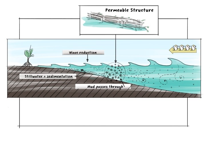 Major step in worldwide application of nature-based solutions and flood mitigation 1