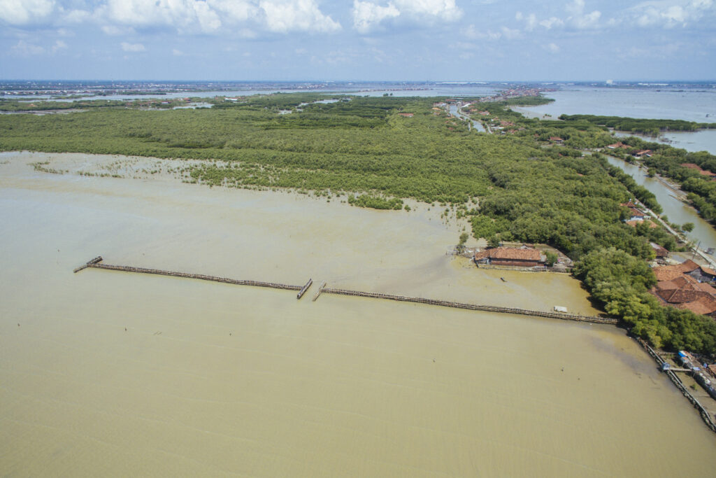 Building with Nature – The answer to water related challenges is in nature