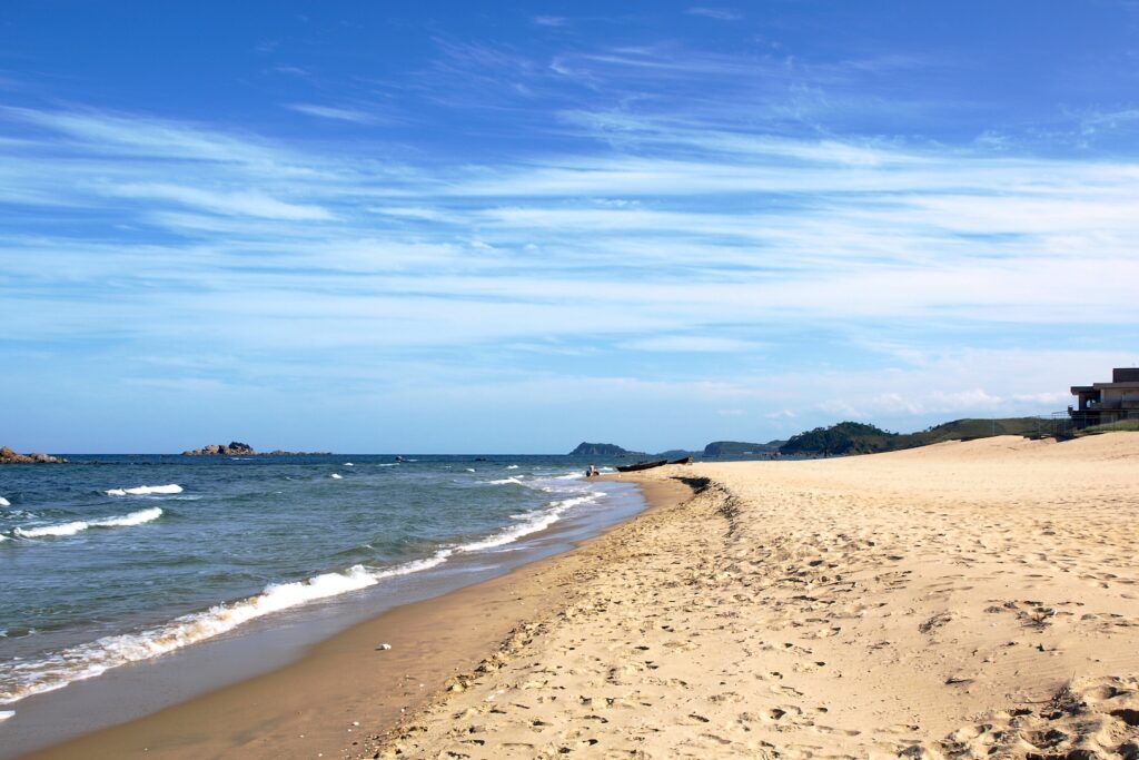 Nature publication 'The state of the world's beaches