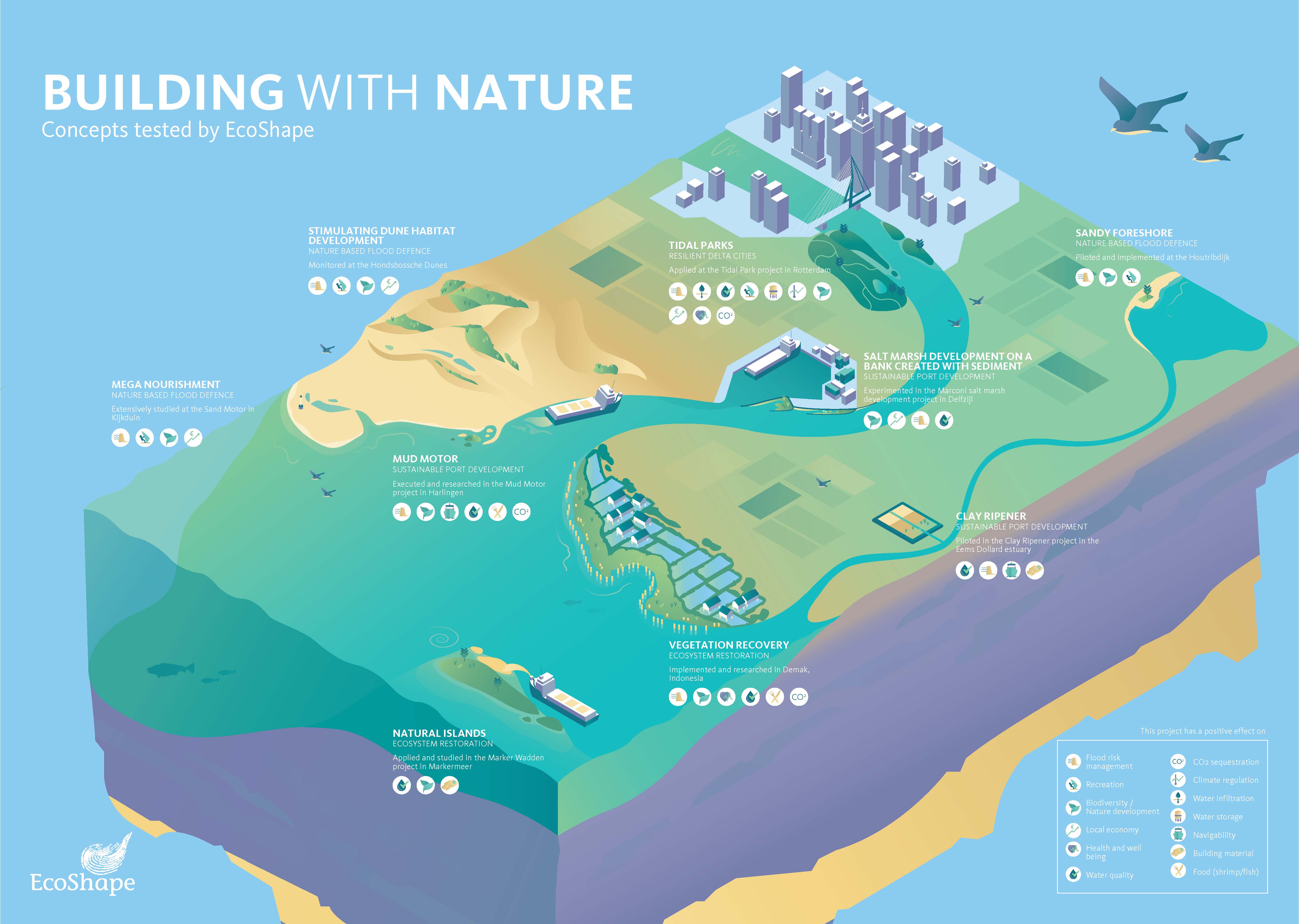 Infographic with EcoShape projects