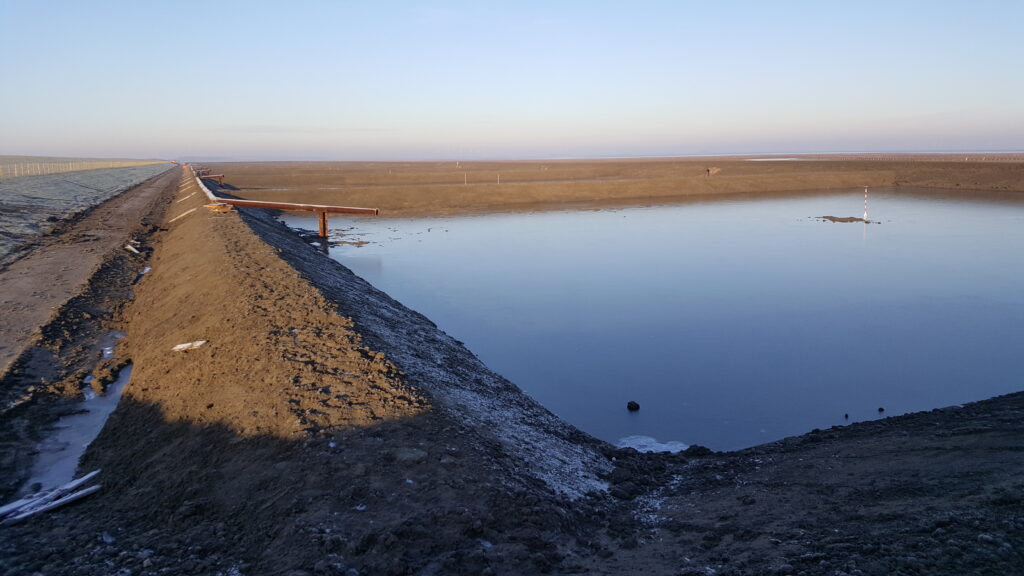 Second Clay Ripener at Polder Breebaart