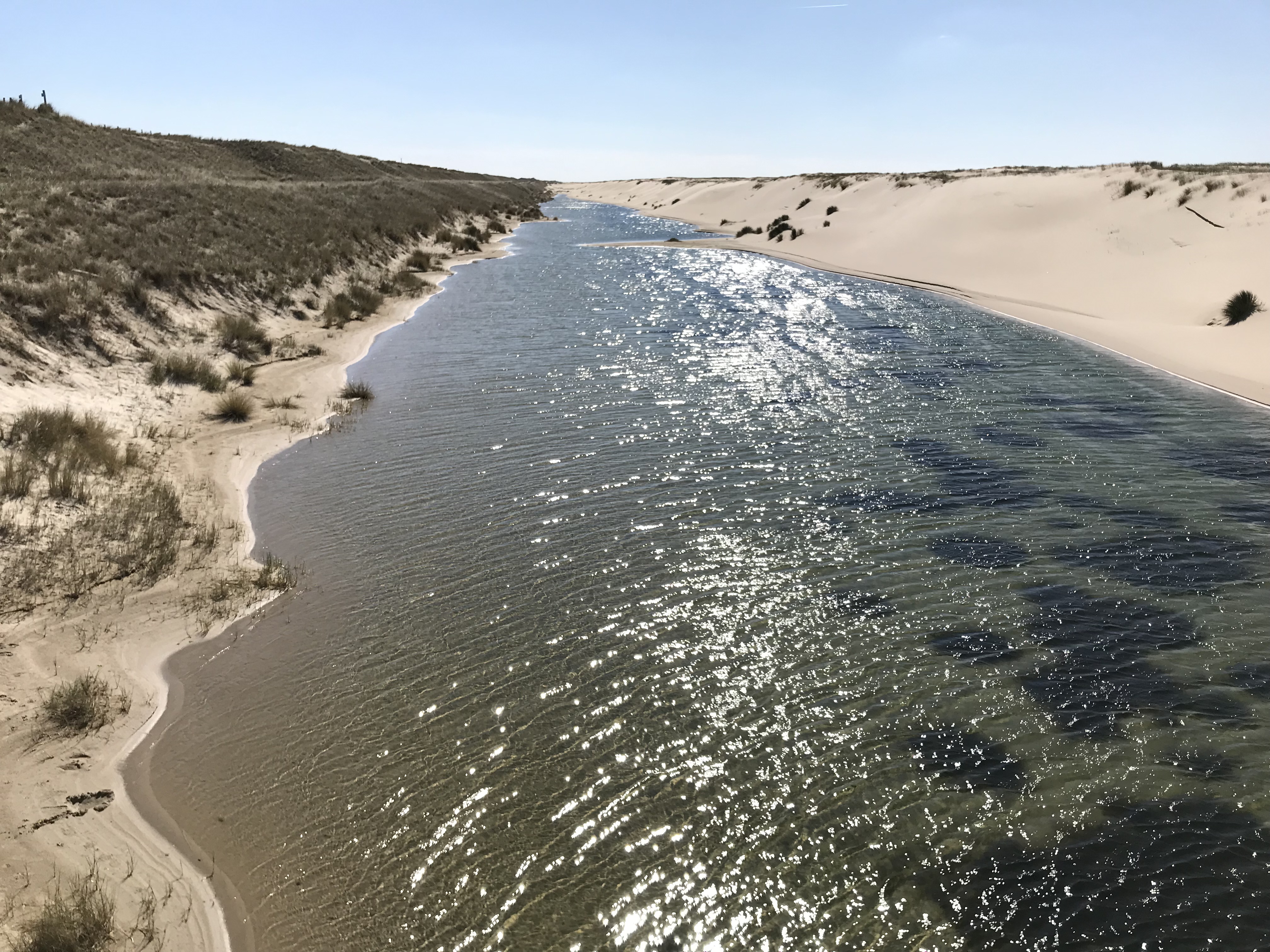 Hondsbossche dunes keep pace with rising sea level