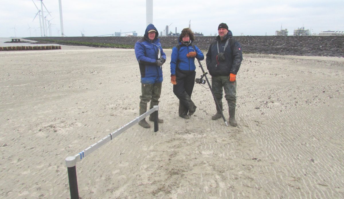 Monitoring salt marshes Marconi Delfzijl in full swing 1