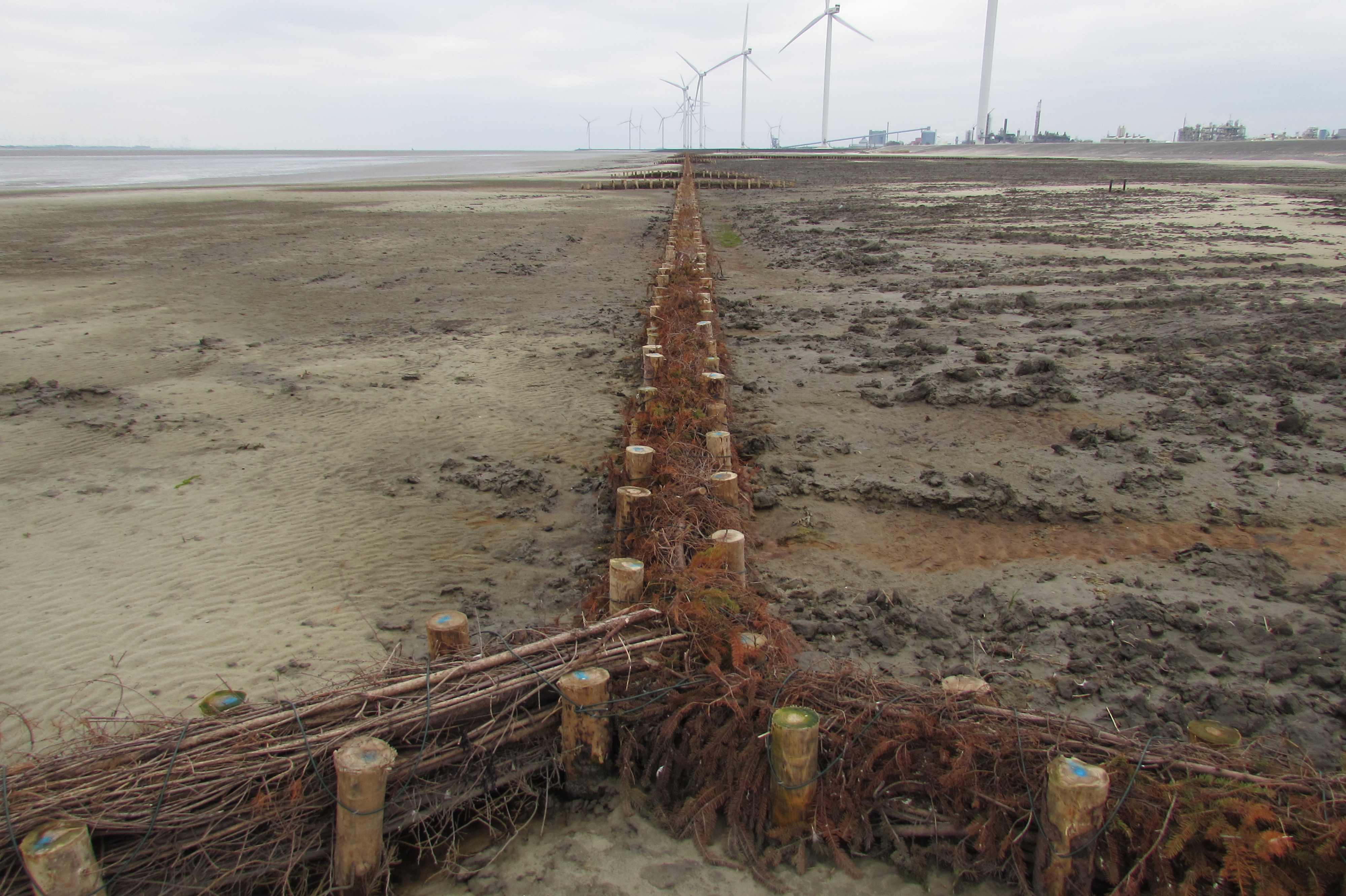 Monitoring salt marshes Marconi Delfzijl in full swing