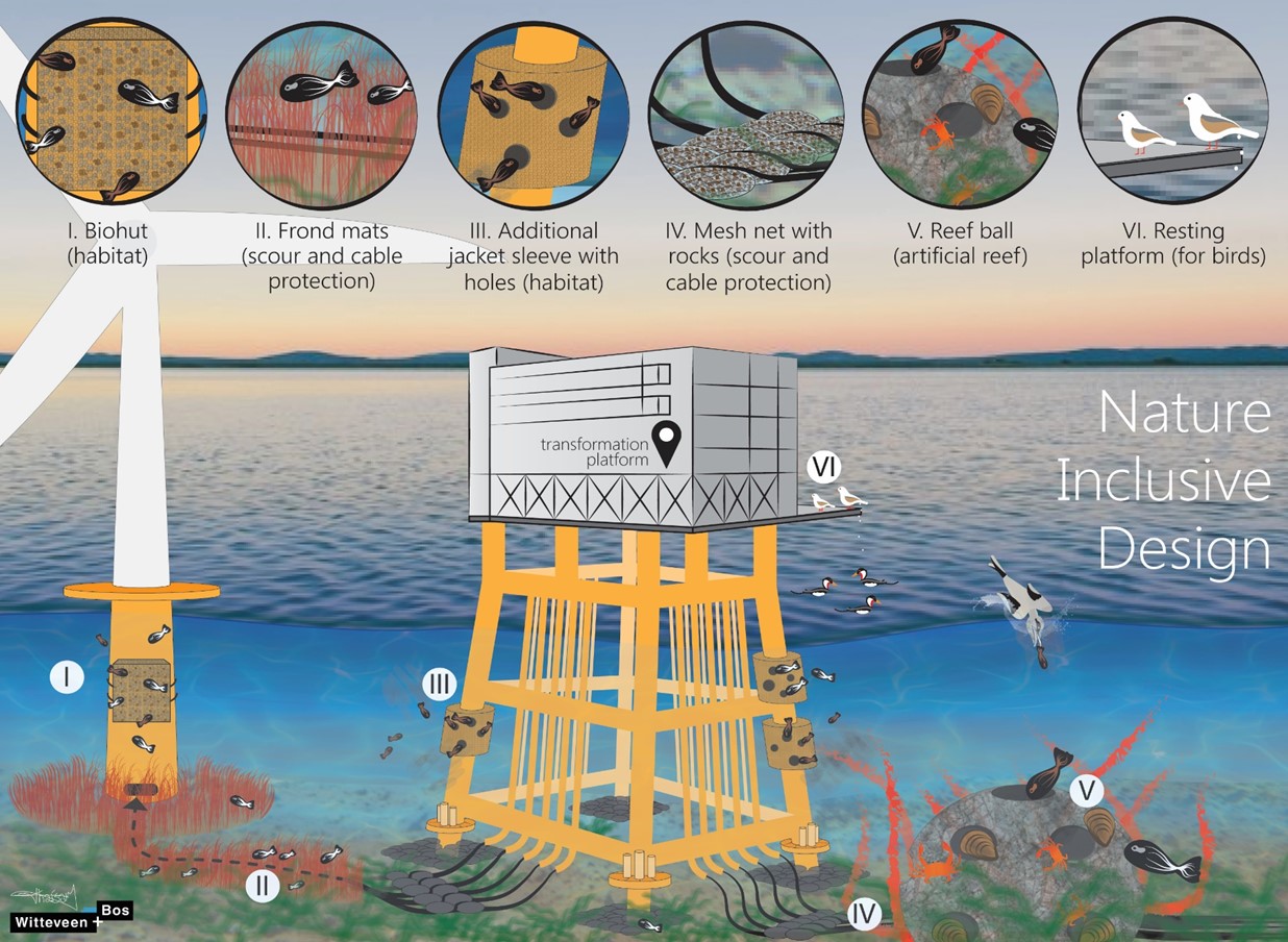 Partner in the Picture: Witteveen+Bos releases platform for Nature Based Solutions 1