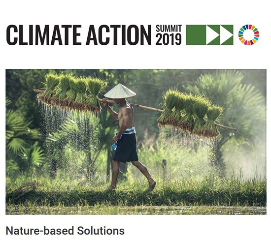 EcoShape present at Climate Action Summit in New York 2
