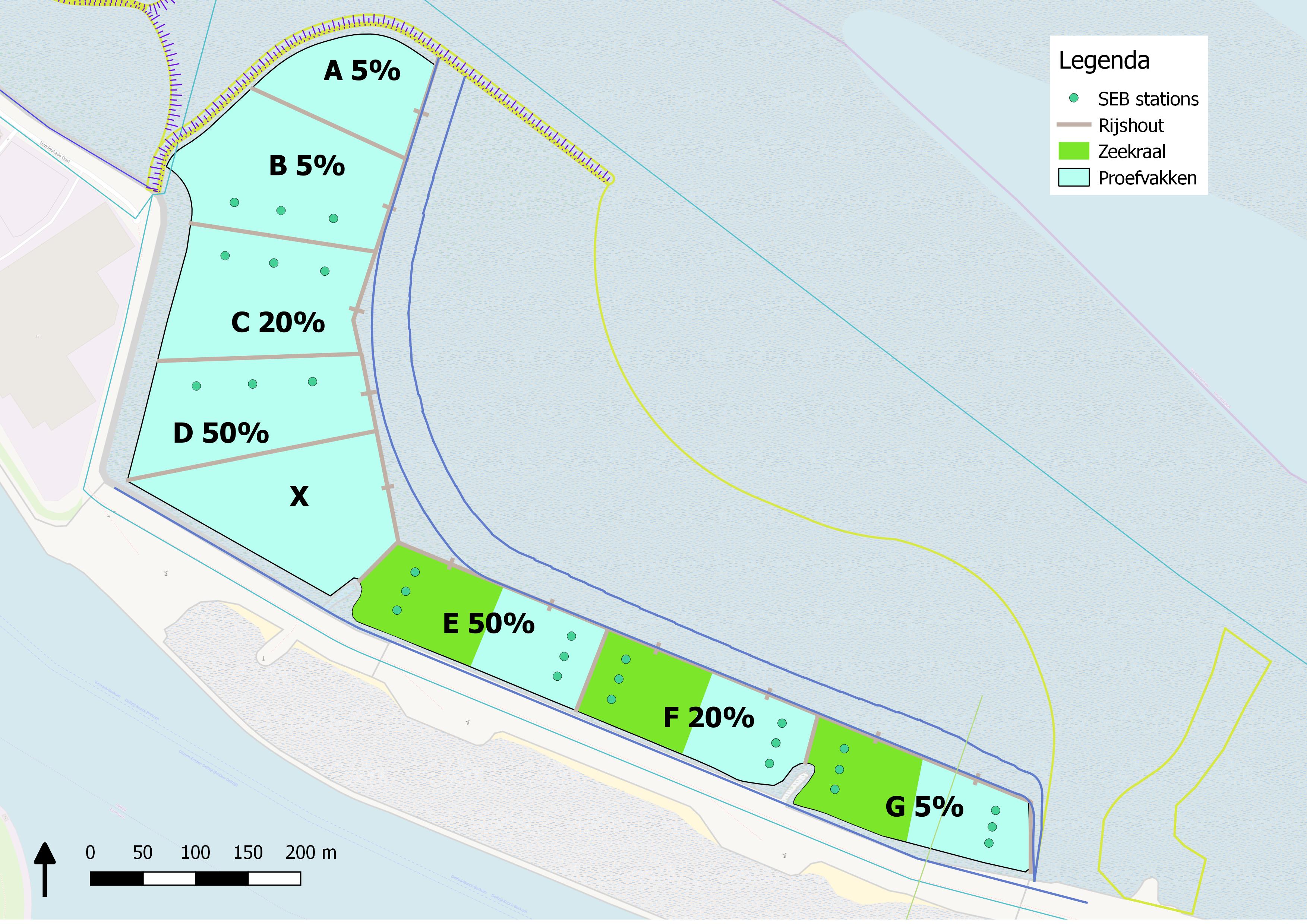 First observations on the pioneer salt marsh near Delfzijl 4