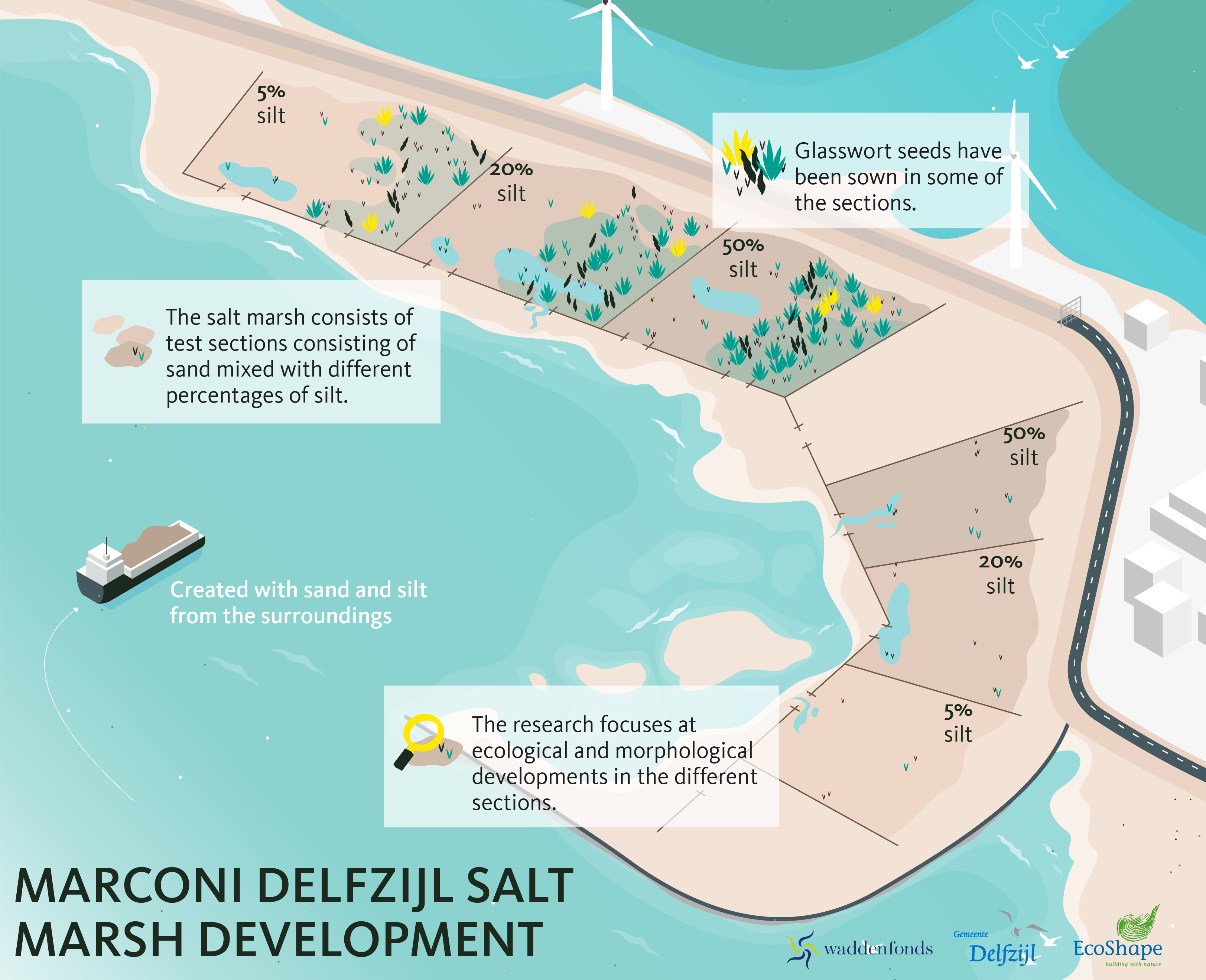 Salt marsh development Marconi Delfzijl 3