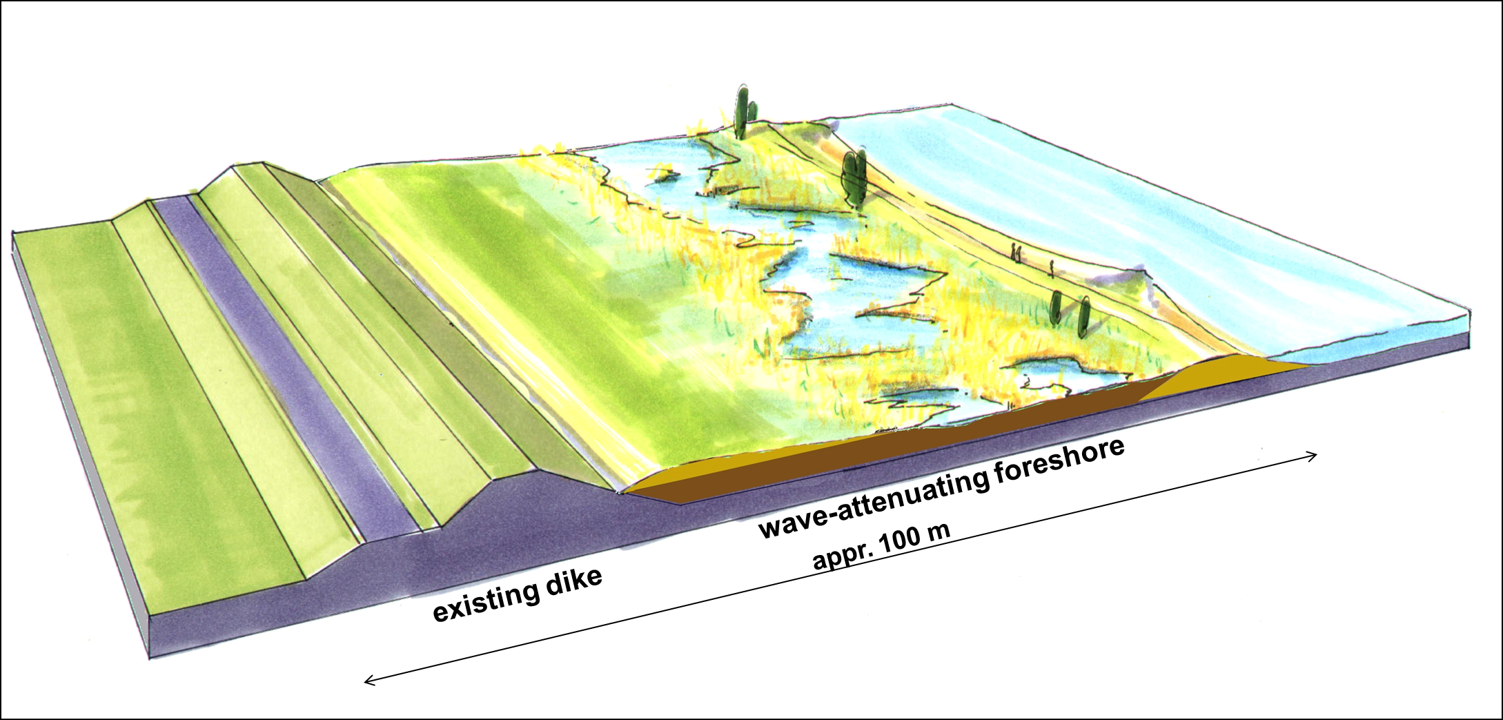 Foreshore in freshwater environment