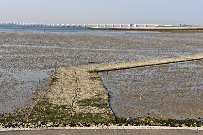 Artificial shellfish reef Eastern Scheldt