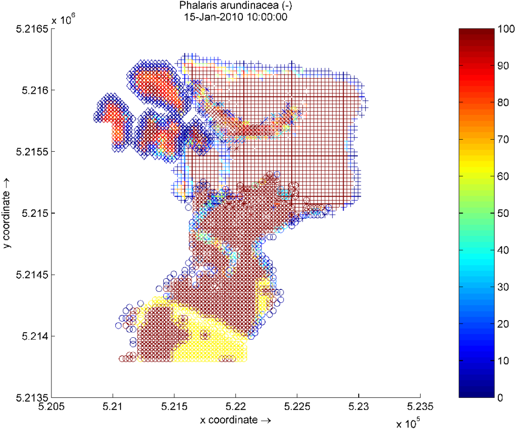 biogeomorphological modelling result