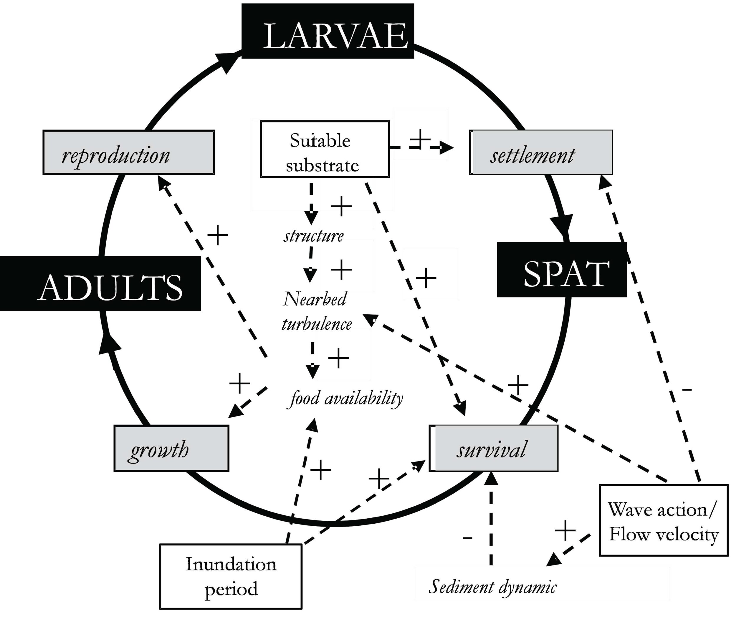 Circular flowchart of abiotic environmental conditions