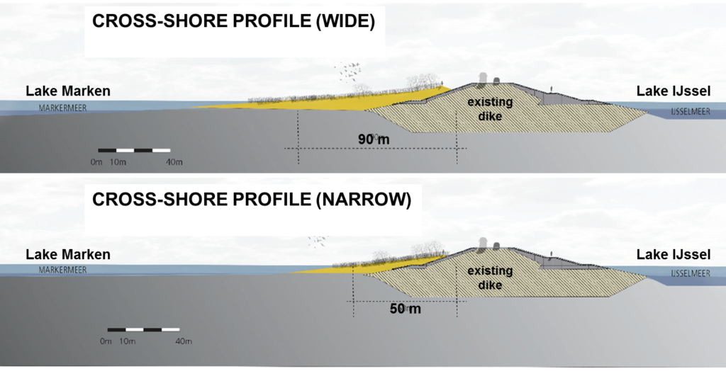 Cross-shore profile of a lake-bordering shallow foreshore, from the Houtrib dike pilot
