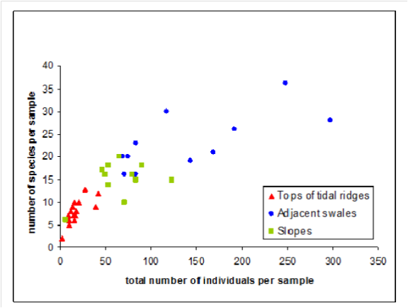 Relation between numbers of species and the location on tidal ridges (tops/crests, swales or troughs or the slopes (van Dijk et at. 2012).