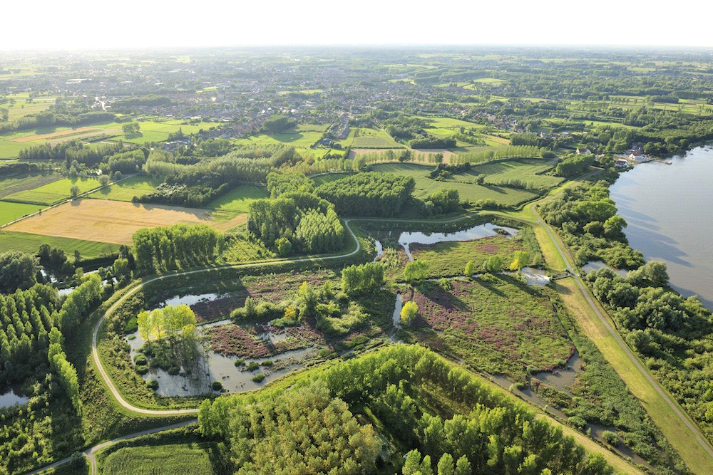 Water retention along the Scheldt river