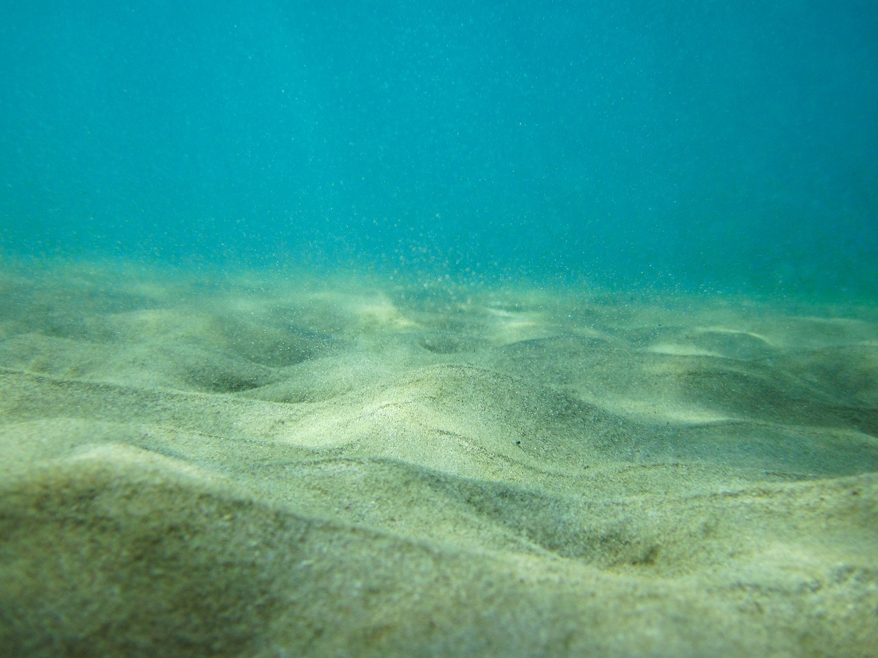 Bedforms under water
