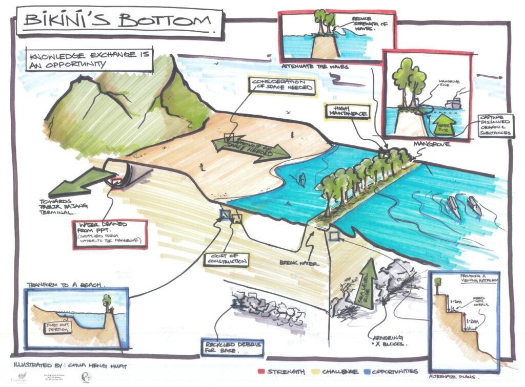 infographic muddy coast