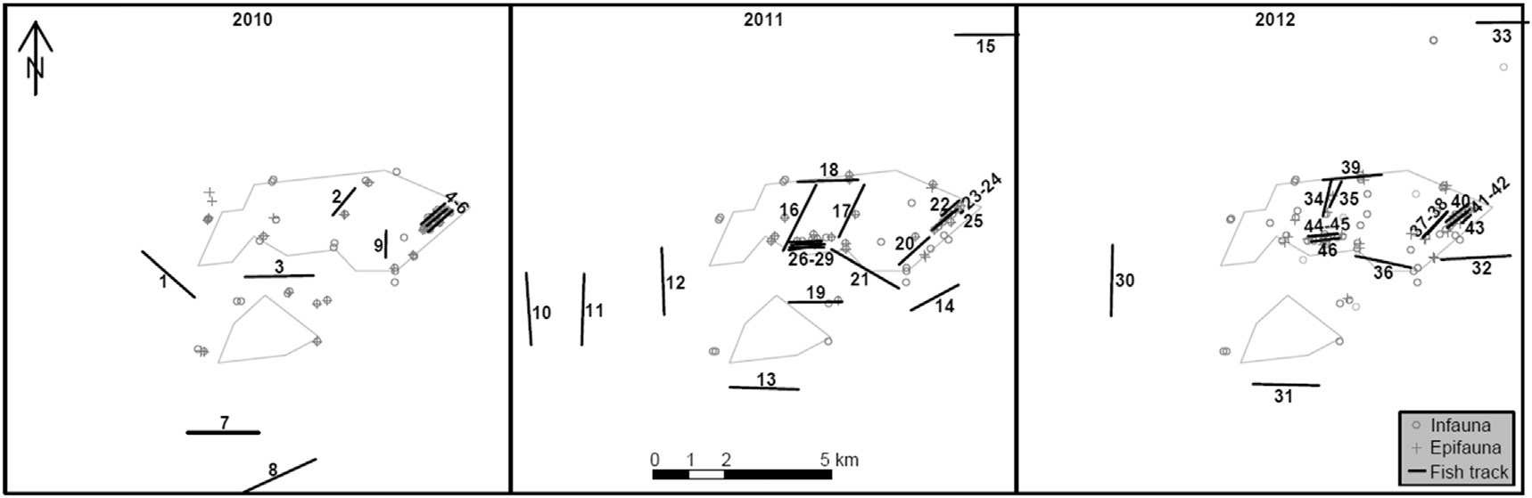 Fish tracks and macrosoobenthos samples