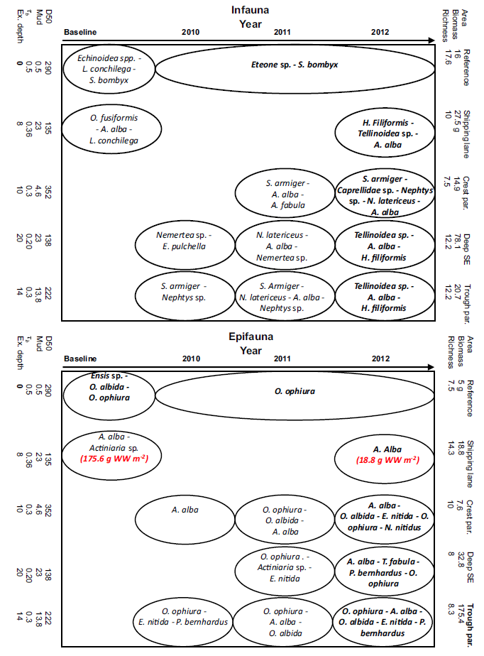 Characteristics of macrozoobenthos per location