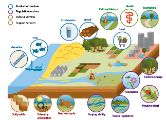 ecosystem services