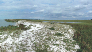 Natural foreshore Frisian coast lake IJssel