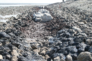 Tidal pool with low water