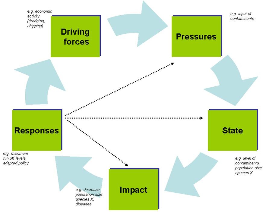 DPSIR framework