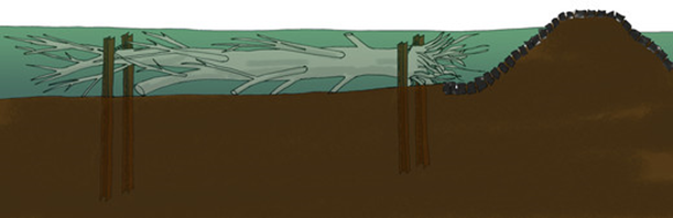 Design for a hybrid shoreline (up) and 'dam' constructed with dead tree trunks (currently not implemented) 