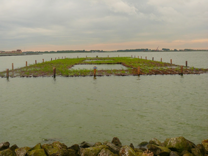 floating marsh