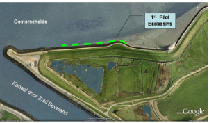 Ecoshape pilot in the Eastern Scheldt Ecoshape pilot in the Eastern Scheldt