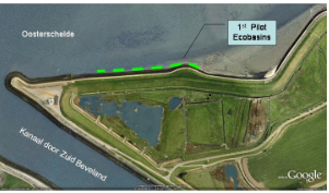 Ecoshape pilot in the Eastern Scheldt