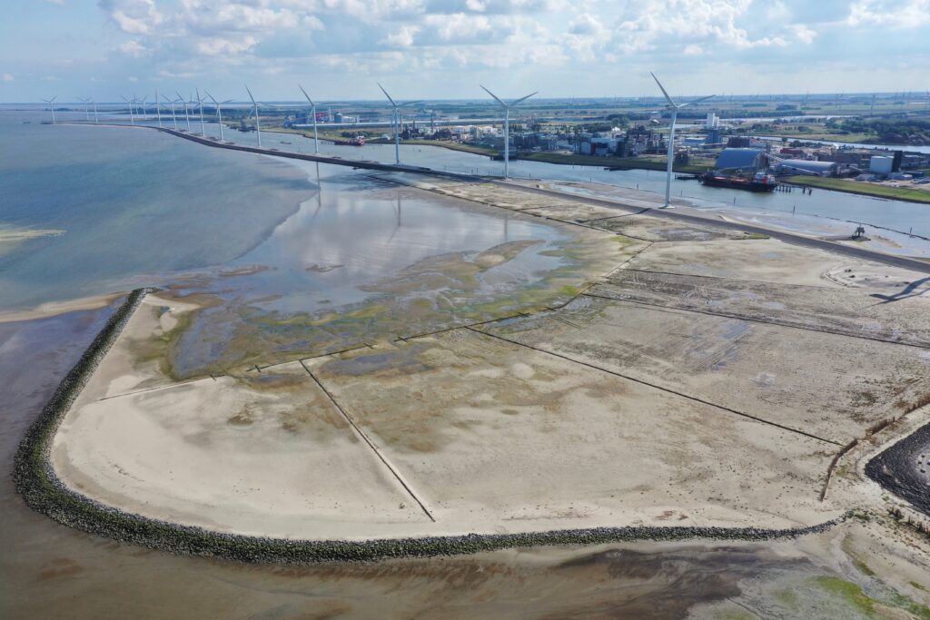 Marconi salt marsh