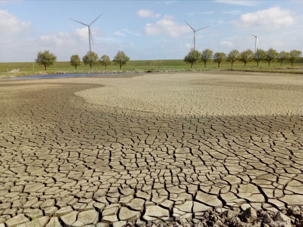 Clay ripening Delfzijl cracks