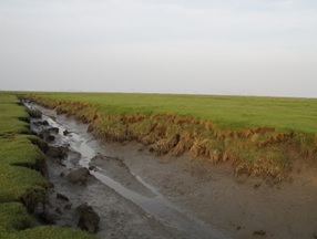 View of the Dollard near the Kiekkaaste