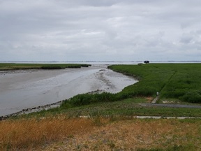 Creek pattern in the current Dollard salt marsh
