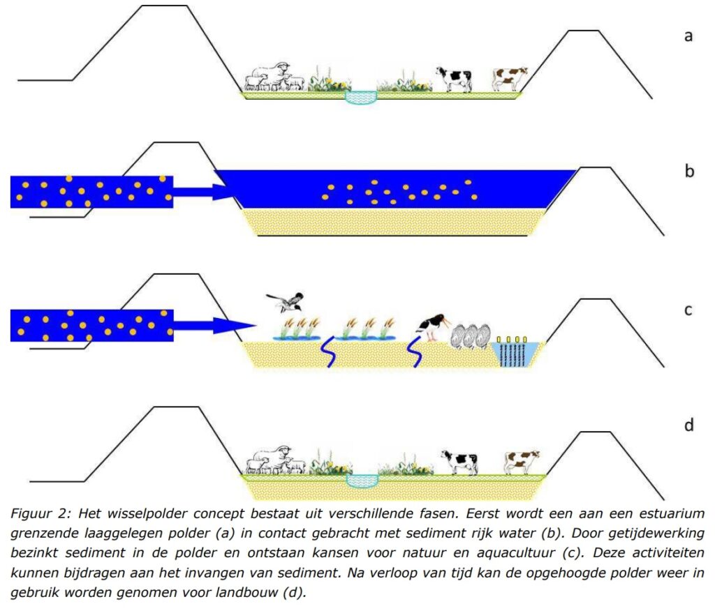 Example of exchange polder