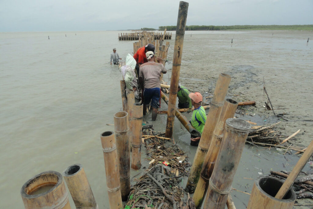 Repair of damaged structures by Bedono village community members.