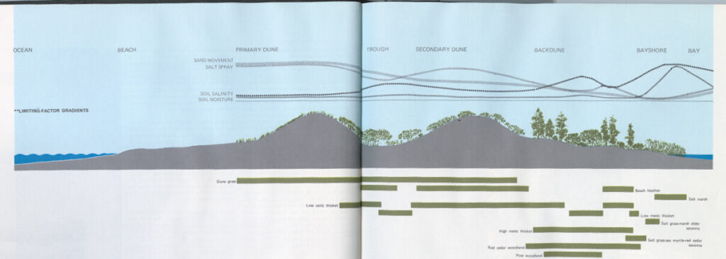 Dune dynamics (Ian L. McHarg Papers, The Architectural Archives, University of Pennsylvania)