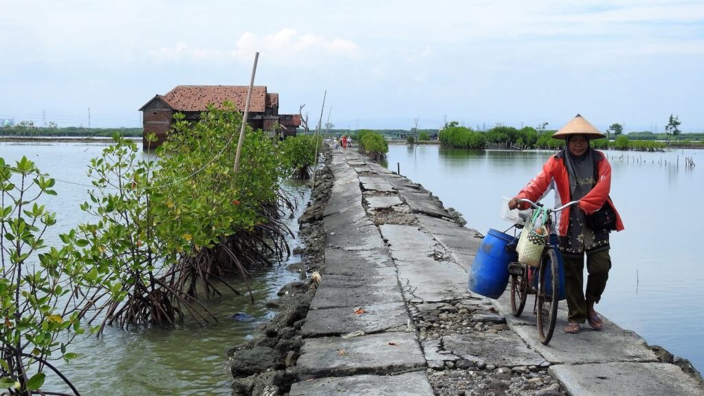 Subsidence and flooding affect daily life in Bedono village.