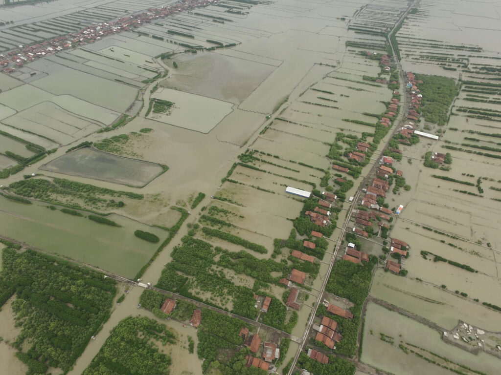 Mangrove removal for aquaculture and groundwater extraction results in erosion and subsidence.