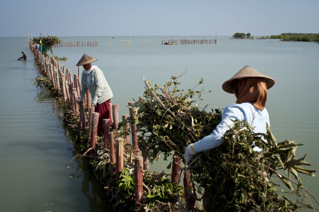 Building with Nature Indonesia nieuwsbrief