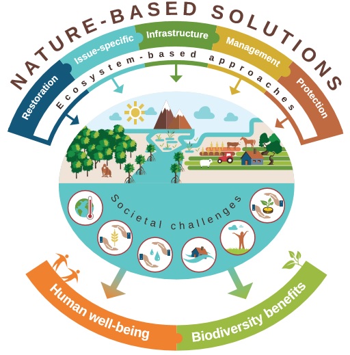IUCN presenteert Framework voor Nature based Solutions