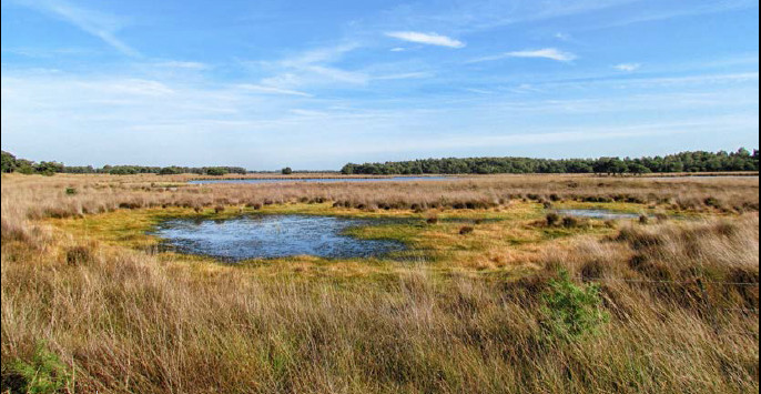 Building with Nature op hoge zandgronden