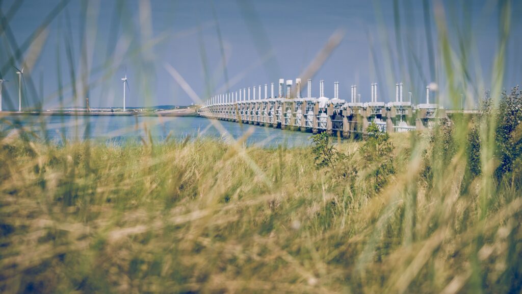 Bouwen aan een veerkrachtige Scheldedelta